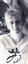 Balaz Mary Ellen Derwis Lmt Cht